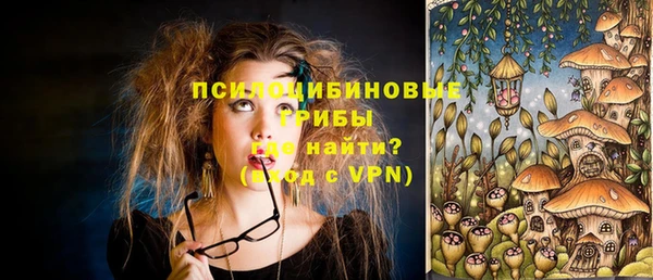 спайс Пестово