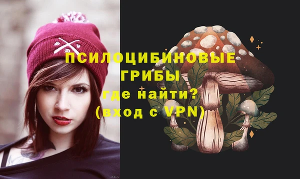 героин Пересвет